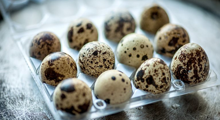 Зберігання перепелиних яєць в домашніх умовах